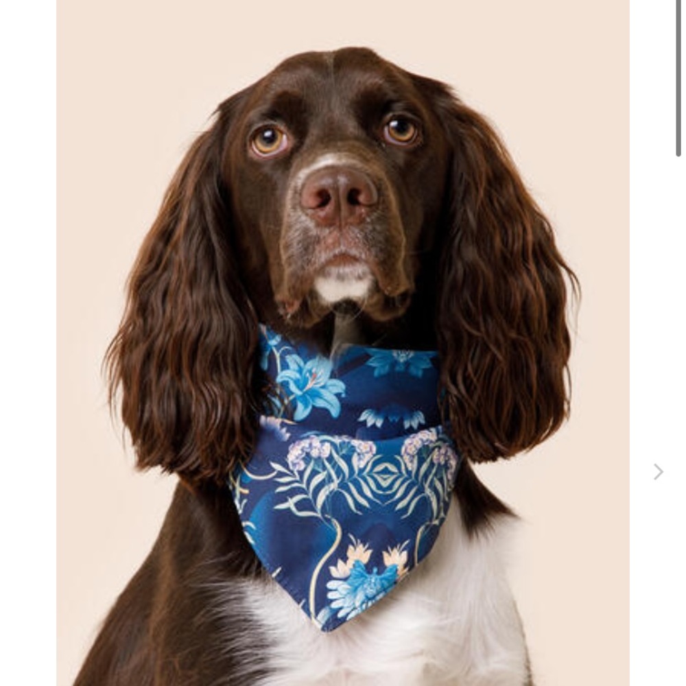 Mabel & James Tropical Pet Bandana M/L